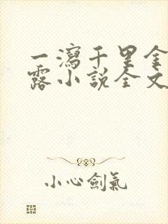 一泻千里金银花露小说全文免费阅读