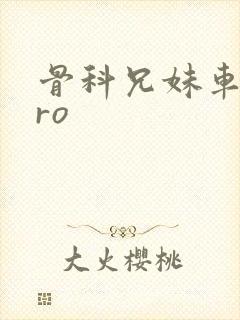 骨科兄妹车多pro封面