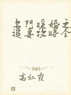 名门暖婚之权爷追妻攻略全文免费阅读