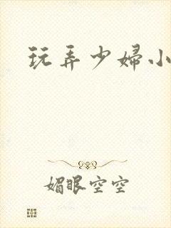 玩弄少妇小说