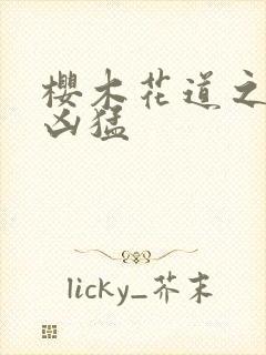 樱木花道之重生凶猛