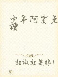 少年阿宾免费阅读