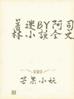 着迷BY阿司匹林小说全文免费阅读