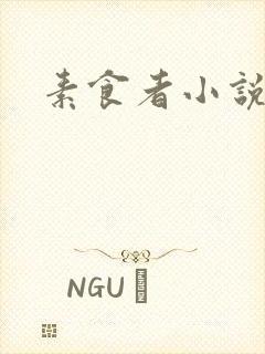 素食者小说