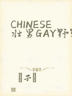 CHINESE壮男GAY野战强迫TUBE封面