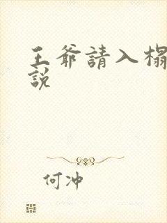 王爷请入榻 小说