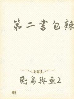 第二书包辣文封面