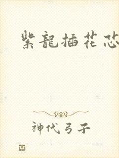 紫龙插花芯方正