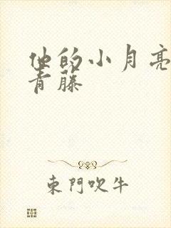 他的小月亮by青藤