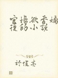 官场欲香娇妻报复的小说