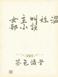 女主叫姓温的全部小说封面
