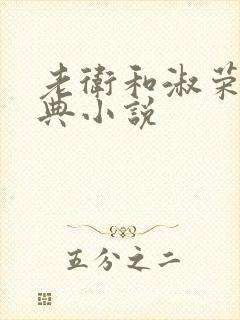 老卫和淑荣的经典小说