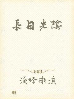 长日光阴封面