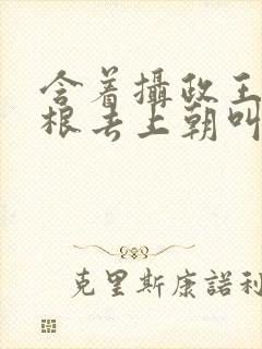 含着摄政王的紫根去上朝叫什么封面