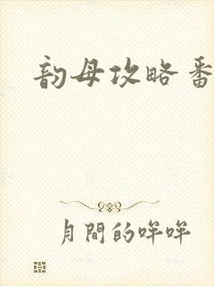 韵母攻略番外3封面