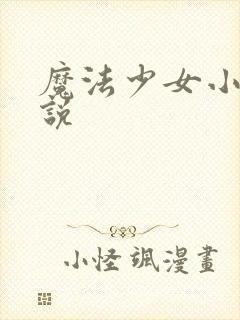 魔法少女小圆小说