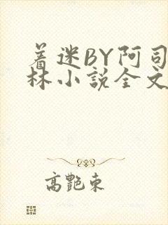 着迷BY阿司匹林小说全文免费阅读封面