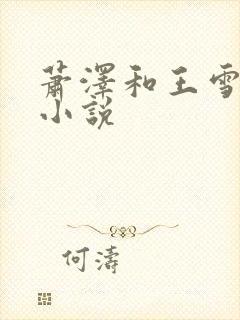 萧泽和王雪凤的小说