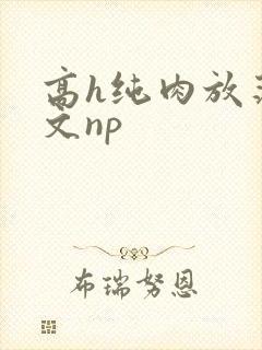 高h纯肉放荡h文np封面