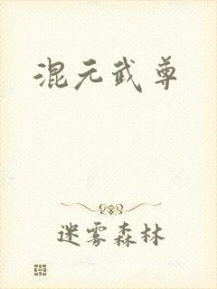 混元武尊封面