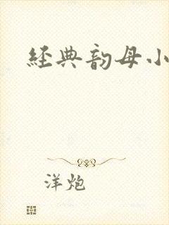 经典韵母小说封面