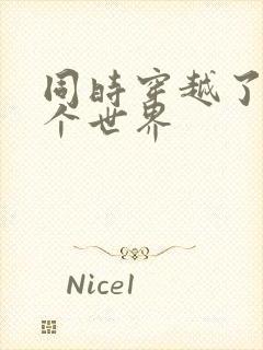 同时穿越了99个世界封面