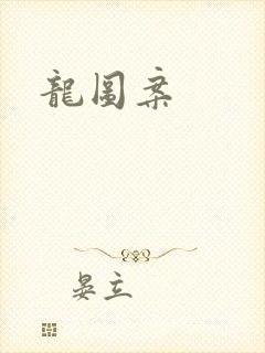龙图案