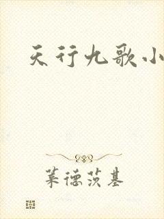 天行九歌小说