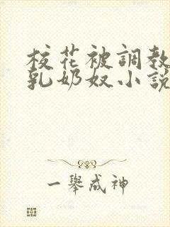 校花被调教成大乳奶奴小说封面