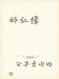 醉红楼封面