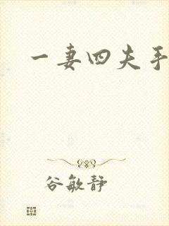 一妻四夫手记封面