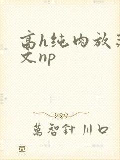 高h纯肉放荡h文np