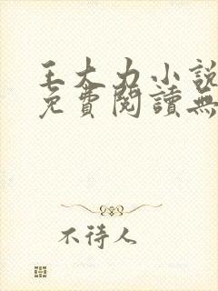 王大力小说小说免费阅读无弹窗