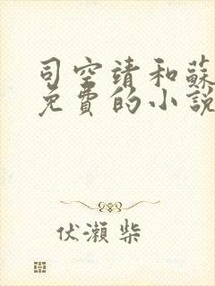 司空靖和苏月汐免费的小说笔趣阁