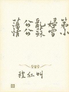 荡公乱妇第1章情公苏雪小说