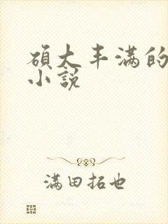 硕大丰满的巨乳小说