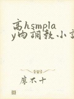 高hsmplay肉调教小说
