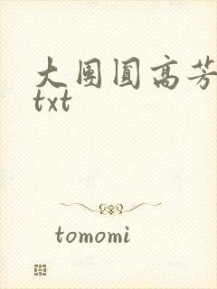 大团圆高芳小说txt