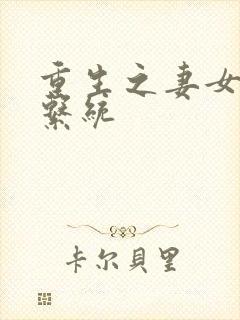 重生之妻女掠夺系统封面