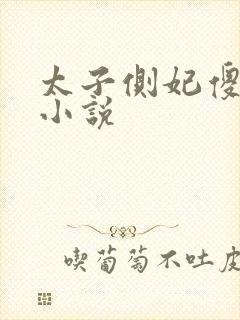 太子侧妃傻乎乎小说