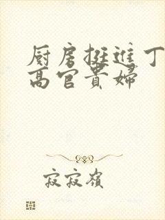 厨房挺进丁字裤高官贵妇封面