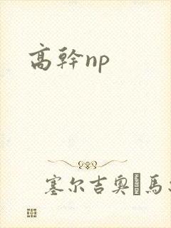 高干np