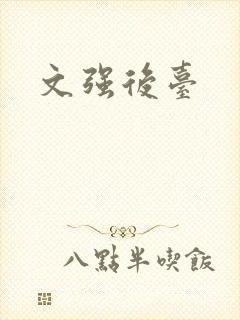 文强后台封面