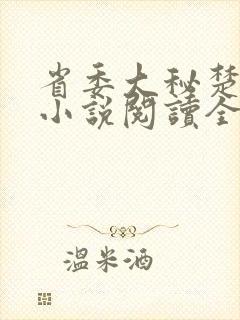 省委大秘楚东恒小说阅读全文