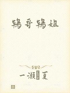 鸨哥鸨姐