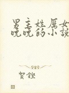 男主姓厉女主叫晚晚的小说