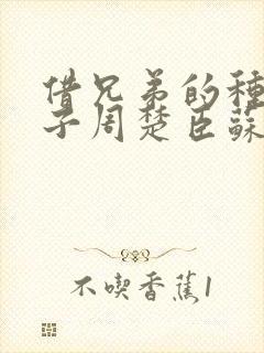 借兄弟的种生孩子周楚臣苏糖