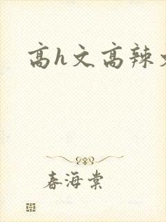 高h文高辣文