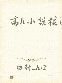 高h小说校园封面
