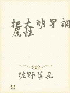 把大明星调成专属性封面